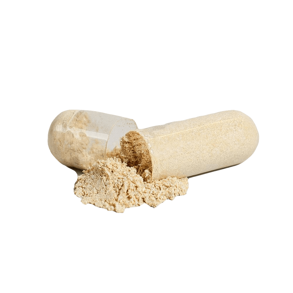 Ashwagandha 650mg With Black Pepper |  CalmBalance